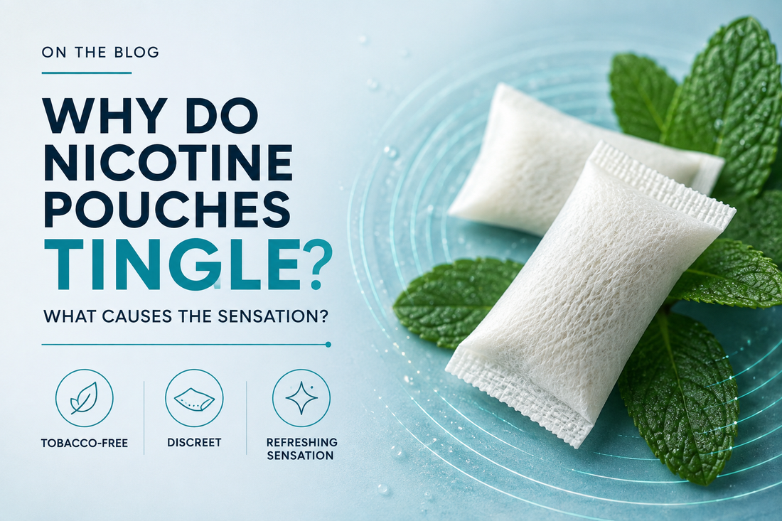 Why Do Nicotine Pouches Tingle?