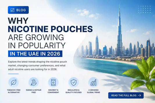 Why Nicotine Pouches Are Growing in Popularity in the UAE